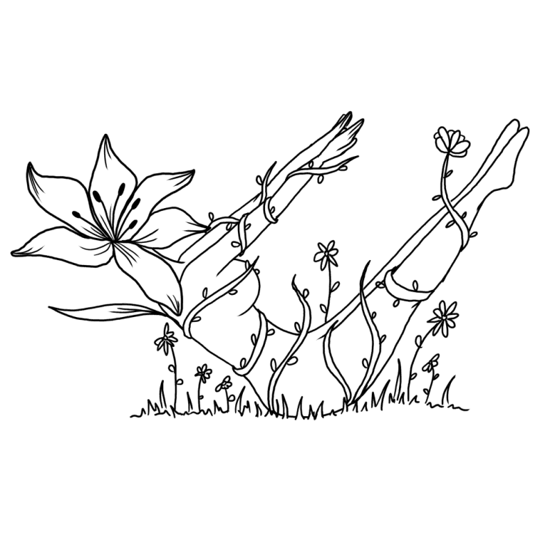 bg Offer Image