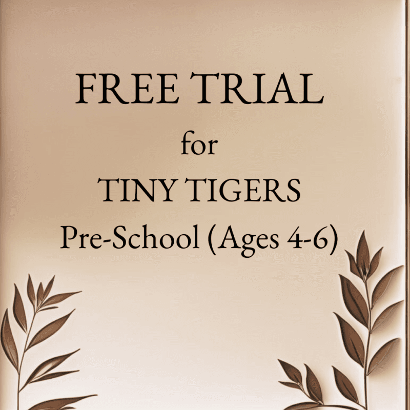 bg Offer Image