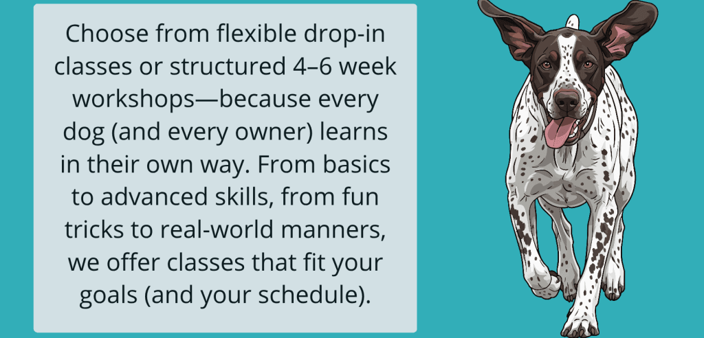 Sliding Descriptive Image