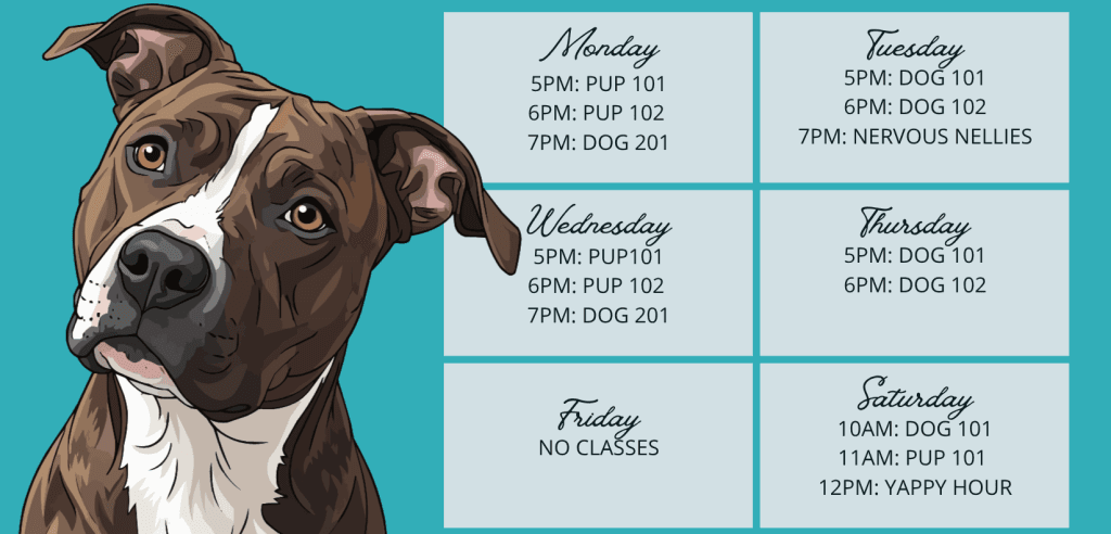 Sliding Descriptive Image