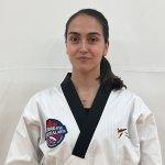 Sahar Sattari
