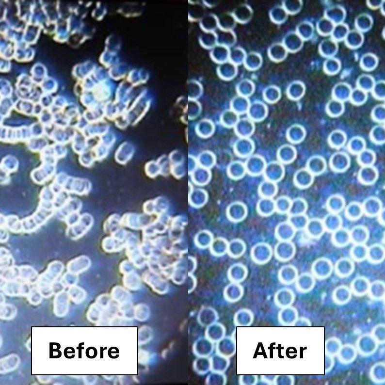 bg Service Image
