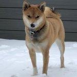 Nori Beaudry