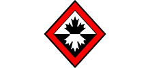 Classical Martial Arts Centre - Oakville