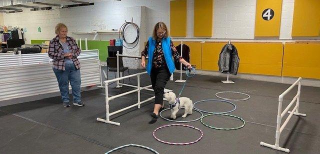 Sliding Descriptive Image