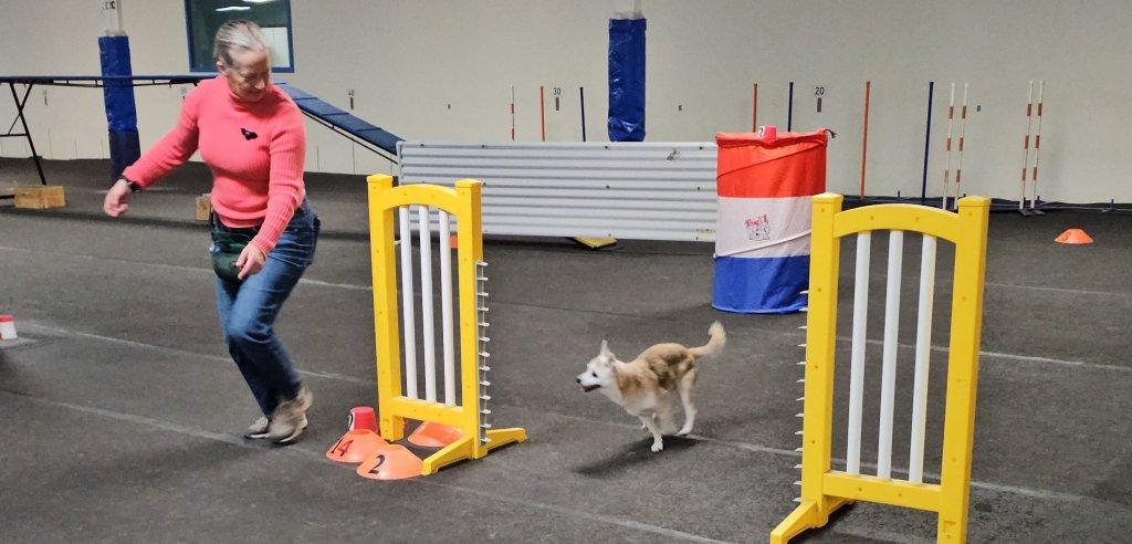 Sliding Descriptive Image