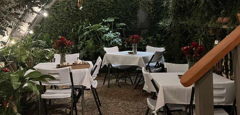 bg The Happy Seed Co.