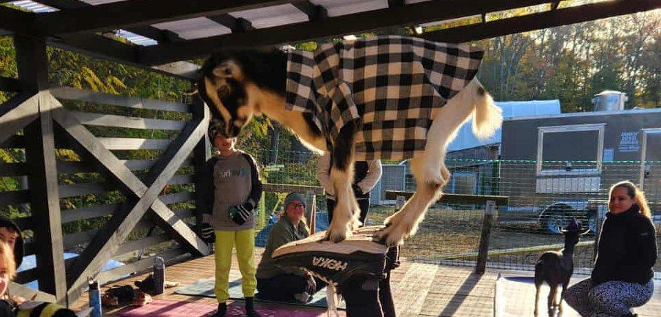 Sliding Descriptive Image