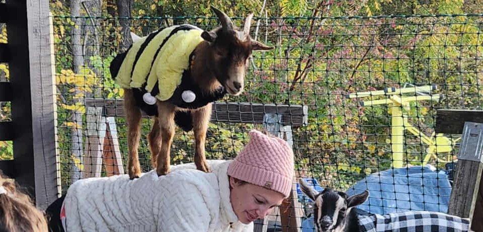 Sliding Descriptive Image