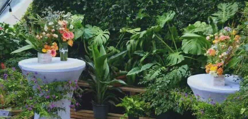 Sliding Descriptive Image