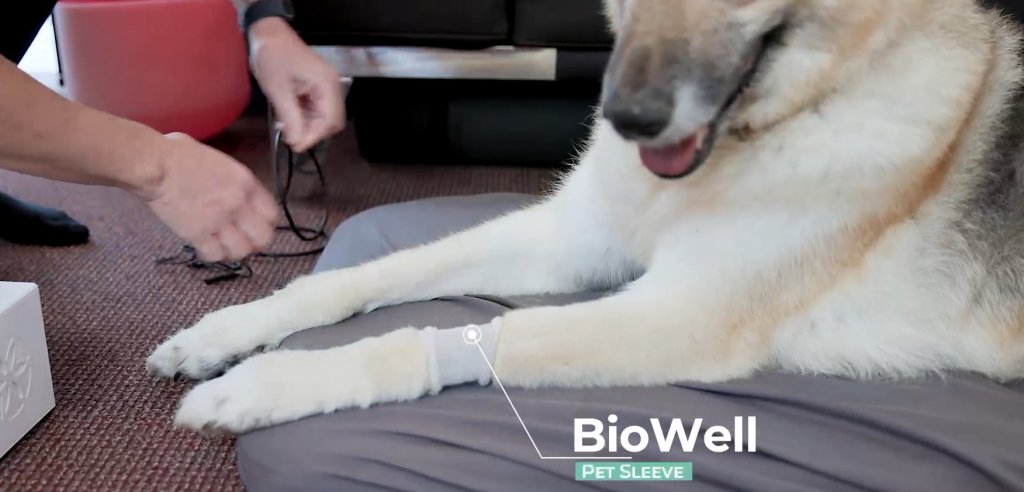 Sliding Descriptive Image