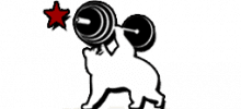 Location Logo