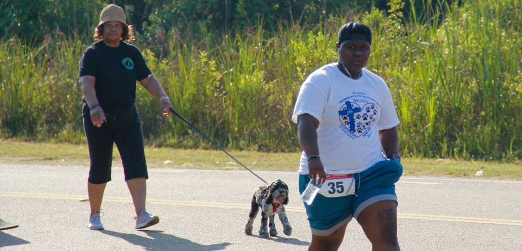 Sliding Descriptive Image