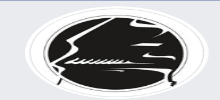 New Tampa Piano and Pedagogy Academy