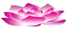 Location Logo