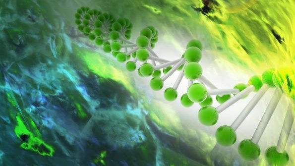 Sliding Descriptive Image