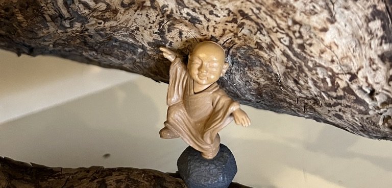 Sliding Descriptive Image