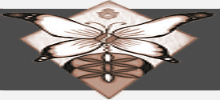 Location Logo