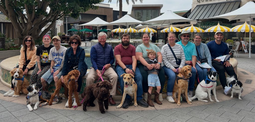 Sliding Descriptive Image