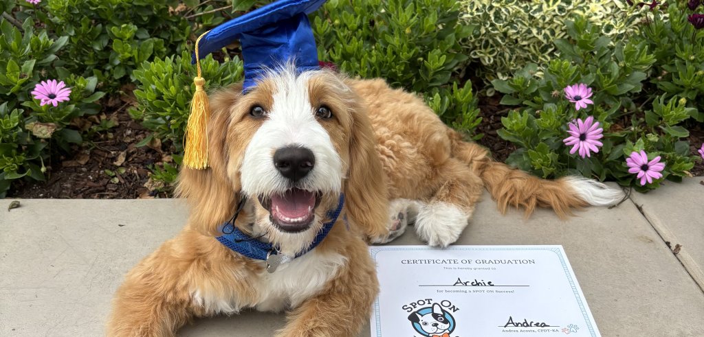 Sliding Descriptive Image