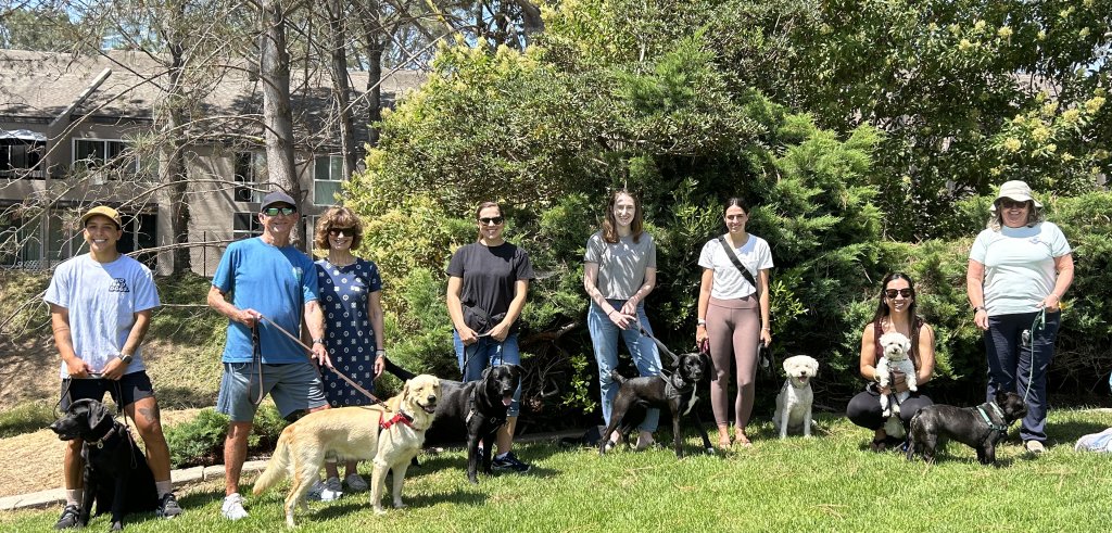 Sliding Descriptive Image