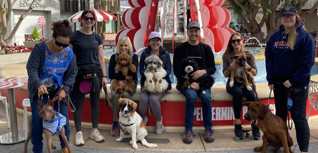 Sliding Descriptive Image