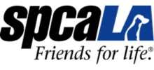 Location Logo