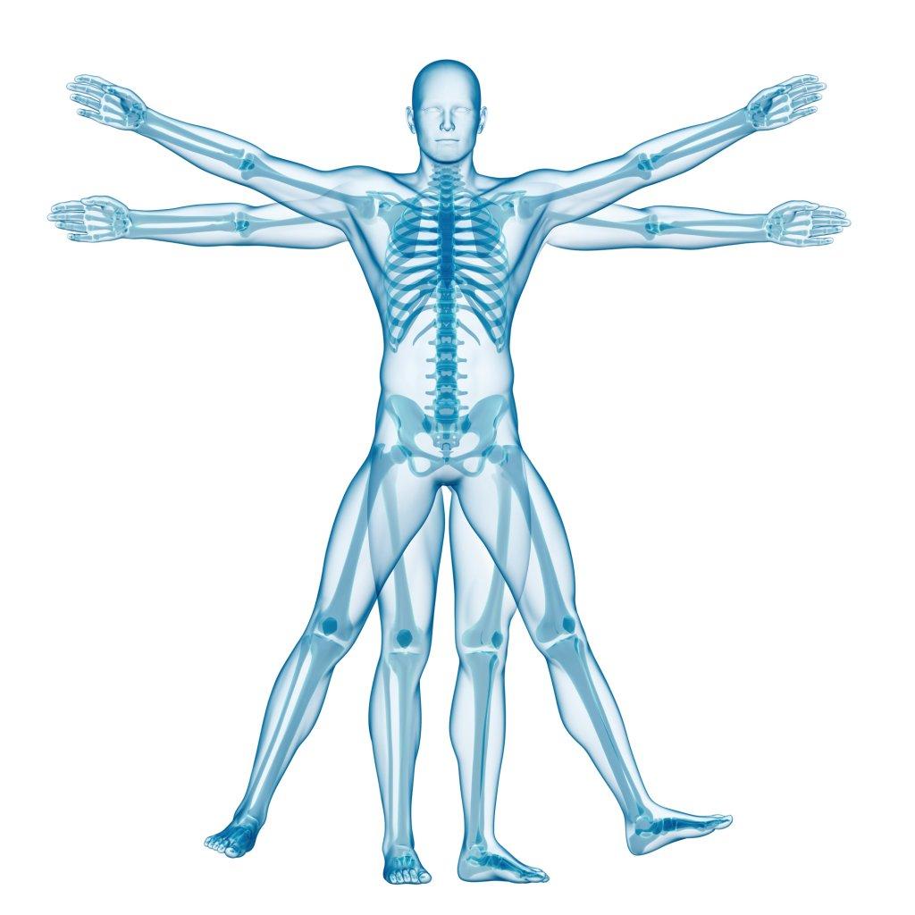 bg Service Image