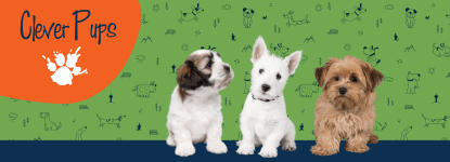 bg Service Image