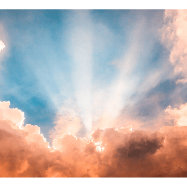 bg Service Image