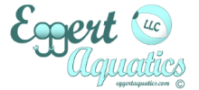 Location Logo