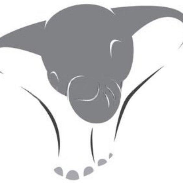 Service Image