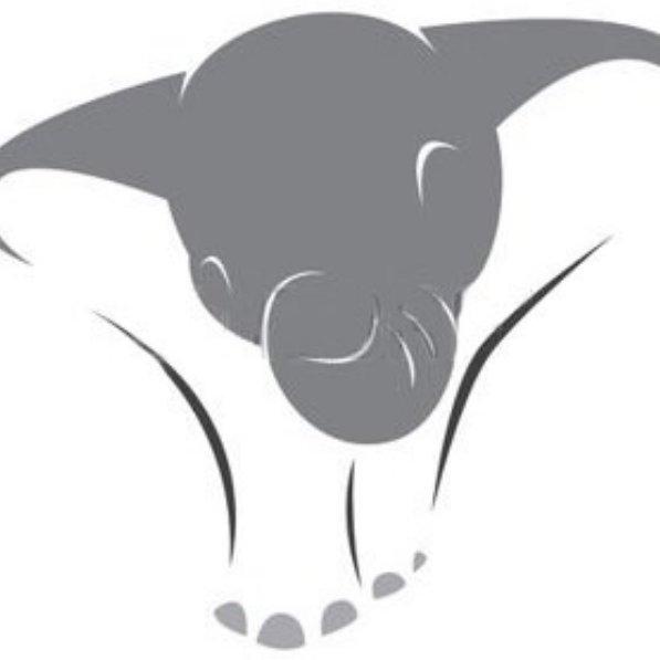 Service Image