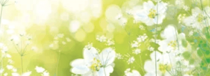 bg Service Image