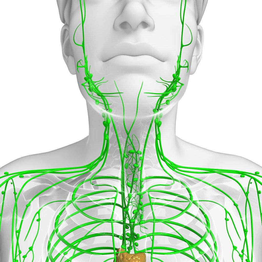 bg Service Image