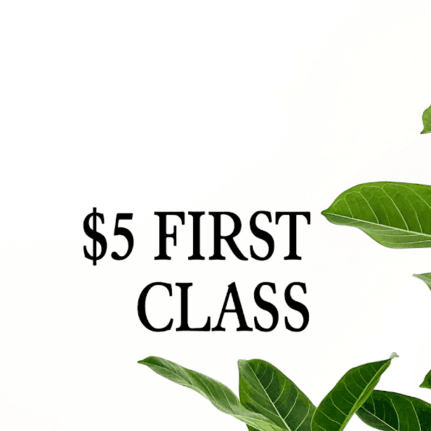 bg Offer Image