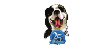 Location Logo