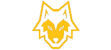 Steel Wolf Karate