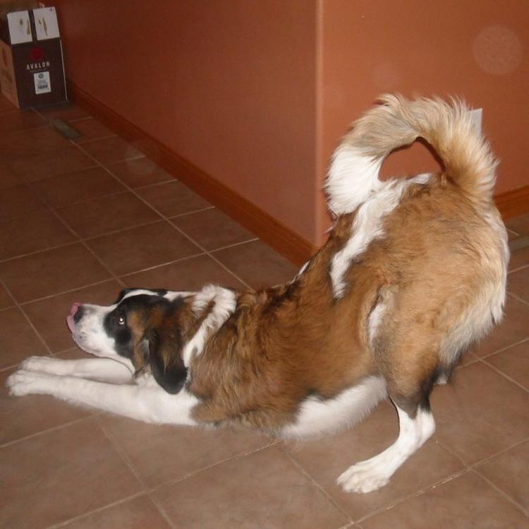 Service Image