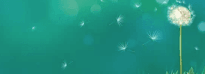 bg Service Image