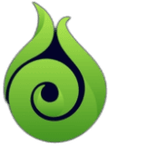 bg Service Image