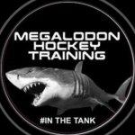 Leonidas Mihalochrista