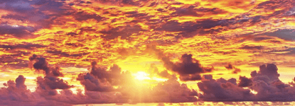 bg Service Image