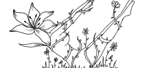 Location Logo