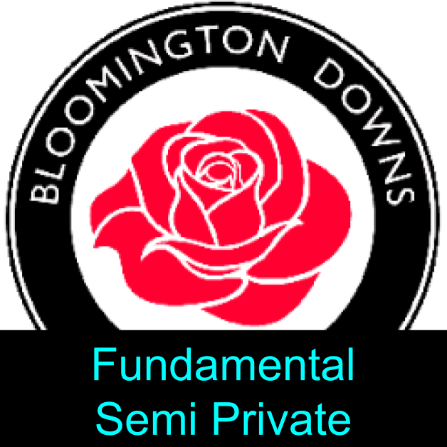 bg Service Image