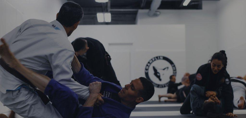 Sliding Descriptive Image