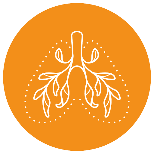 bg Service Image