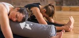 bg Wild Wolfs Yoga