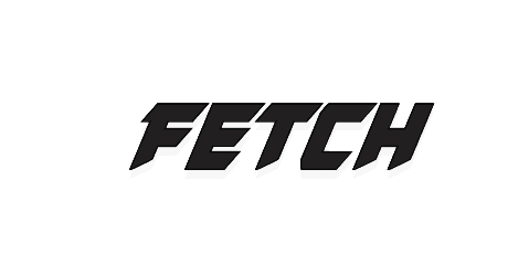 bg Fetch