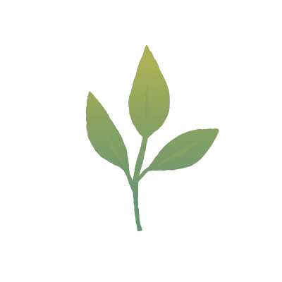 bg Service Image
